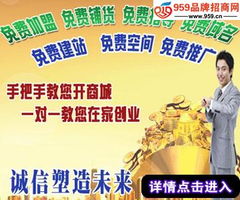 专业性较强的电子商务