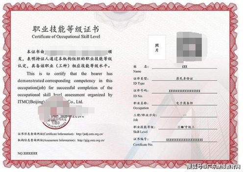 中职电子商务专业资格证