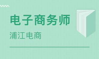 电子商务师怎么报专业