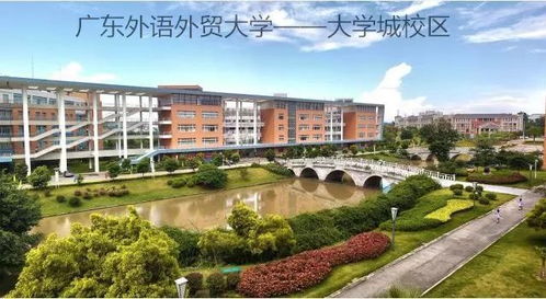 广西大学有电子商务专业
