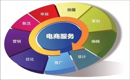电子商务与技术支持专业