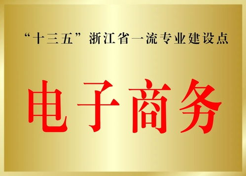 电子商务一流专业申报