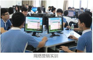专业学电子商务有什么用