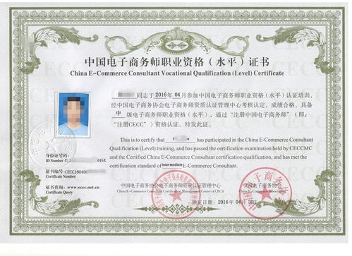 电子商务员考啥专业的好